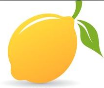 fete du citron de menton